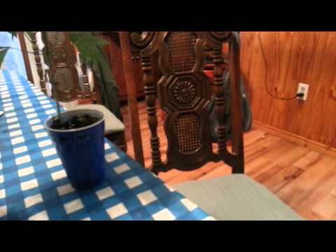 Lady sativa genetics update