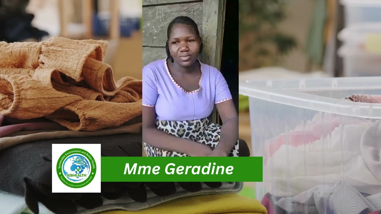 Challenges encountered by  Pregnant Women - SEBHEALTH