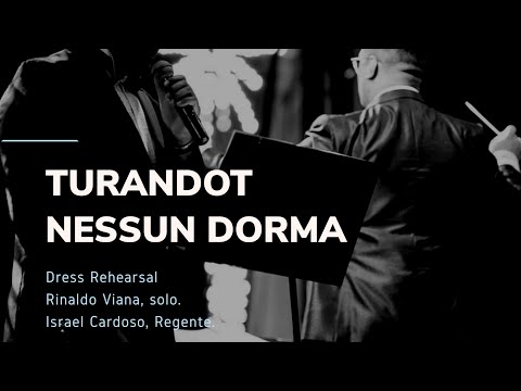 Nessun Dorma - Turandot (Puccini) Ft. Rinaldo Viana