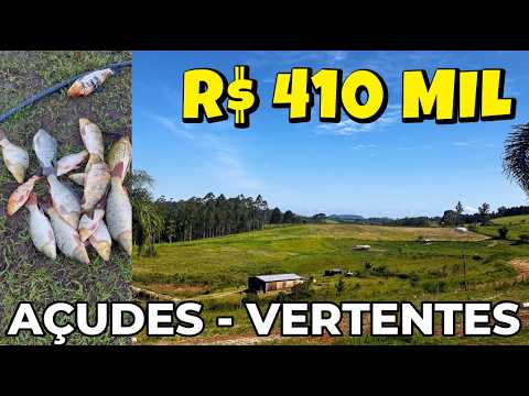 Vídeo