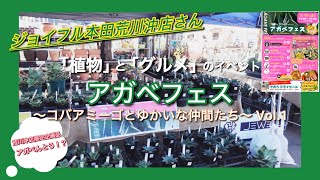 ジョイフル本田荒川沖店さんで開催【アガベフェス】動画213