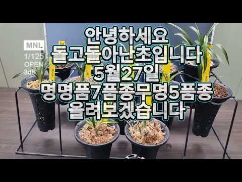 유튜브 썸네일