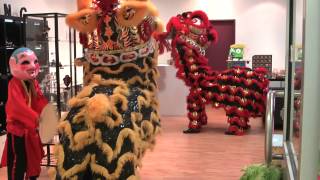 preview picture of video 'Darwin Chung Wah Society Lion Dance Troupe - Blessing of Bling Jewellery and Taylor's Toy Box'