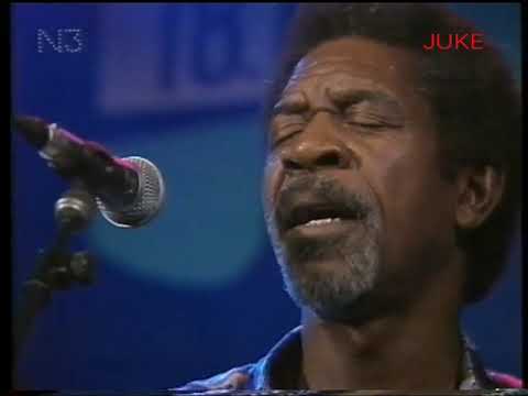 Luther Allison at The Hamburg Jazz Fest 1993 (Live Video)