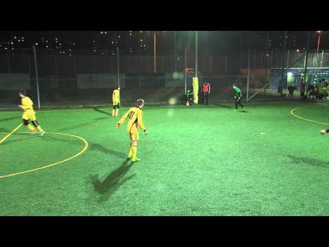 Draft 2–3 Фитопродукт 2