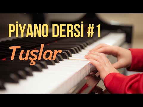 Piano Lesson # 1 - Keys (Free Piano Course for Beginners) "How to Play Piano"