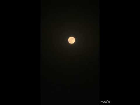 Pink Moon | Blue Moon | Luna | lunatic