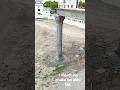 Corinthian Pillar Design Artworks Artist
