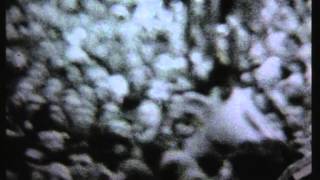 Shihad - Bitter (Remastered)