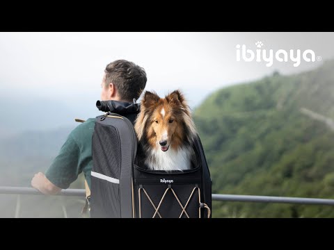 Effortlessly Carry Your Heavy Pets ｜Champion Medium-sized Pet Carrier Backpack
