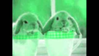 Hayley Sales-What You Want Lyrics