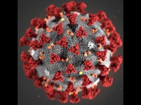 Shillpi Biiswas  Anchoring by Shilpi Biswas on Coronavirus Important Information 