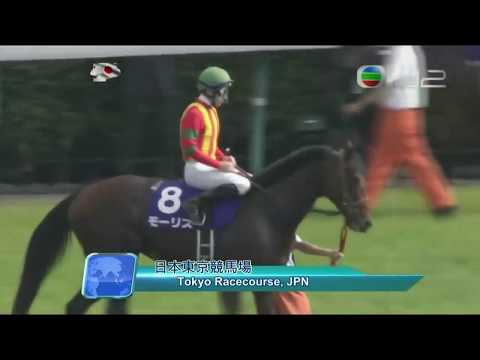 2016  Yasuda Kinen G1 - Logotype (標誌名駒) - H.Tanabe (99倍) - 詠彩繽紛直路已力弱包尾而回