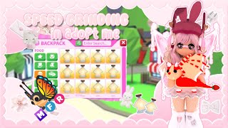 Speed Grinding In ADOPT ME! 😱2 HOUR Speed Grind! Aging Up MIRAI MOTHS 🦋 | 💕BlossomBunnyBeb💕