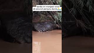 Download lagu virall..penemuan batu kuno yang menyerpai ular di Thailand #berburu mp3