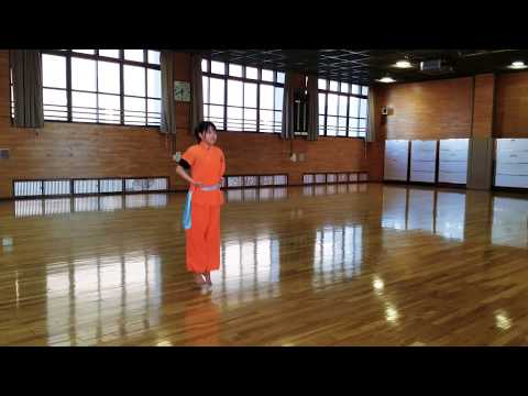 南拳のコンビネーションSouth fist combination