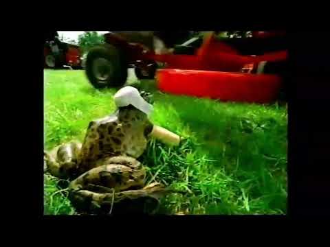 Frogger 2: Swampy's Revenge PS1 commercial, 2000