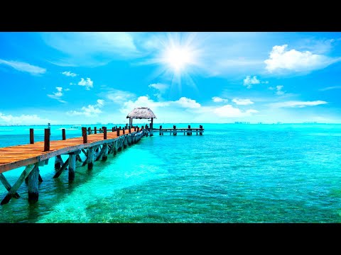 download lagu mp3 mp4 Musicoterapia Curativa, download lagu Musicoterapia Curativa gratis, unduh video klip Musicoterapia Curativa