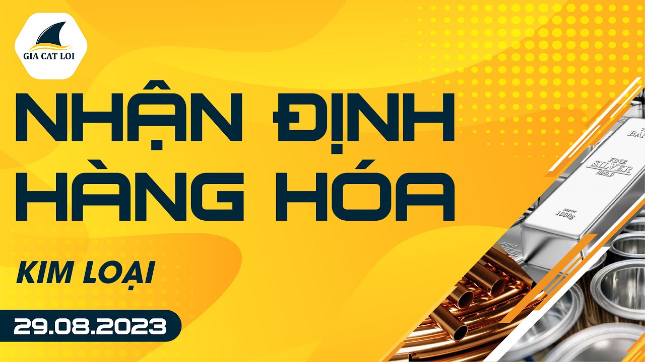 Nhận Định Hàng Hoá Kim Loại Ngày 29/08/2023