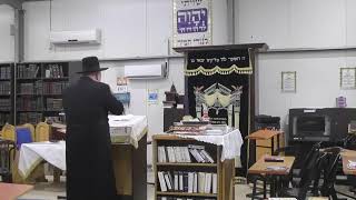 הרב ליאור גלזר  "פתח הדביר" פרשת כי תבוא אלול תשפ"ג שידור חי 🔥 🔥