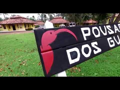 Ilha do Marajó - Pousada dos Guarás - PA thumbnail