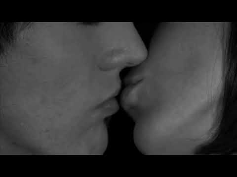 S-File - Shelter (Official Video)