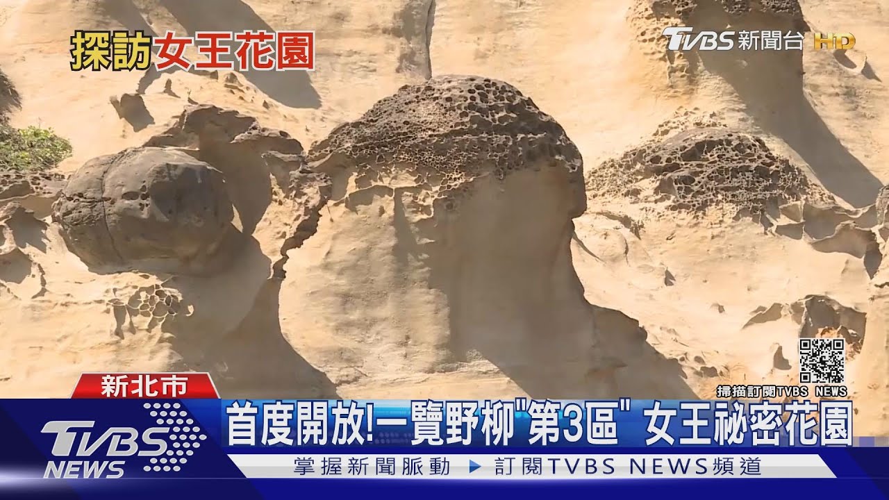 野柳「女王的祕密花園」首開放　超浮誇地景