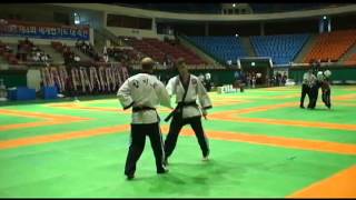 preview picture of video 'Master Borucki - 2010 World Hapkido Championships in Gwangju, South Korea'