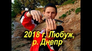 Когда откроют рыболовный сезон в могилевской области