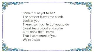 John Wesley Harding - Sweat Tears Blood and Come Lyrics