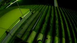 Alan Fitzpatrick - Truant - Cocoon Recordings - OFFICIAL VIDEO