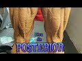DICA PARA POSTERIOR DE COXA!!!