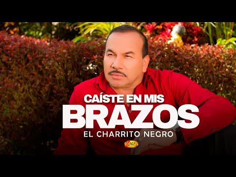 El Charrito Negro - Caíste En Mis Brazos  | Música Popular colombiana