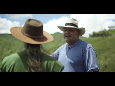 Los agüeros siguen vivos en Alejandría | Capítulo Alejandría - NO ES CUENTO