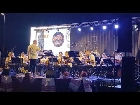 "Carmen" -   Veliki orkestar polaznika Tamburaškog kampa u Pleternici 2023