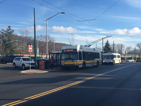 MBTA Route 73 To Waverly Square