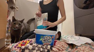 猫5匹と暮らす日常vlog｜お気に入りのラグを丸洗い｜marimekkoでお買い物、カフェ巡り