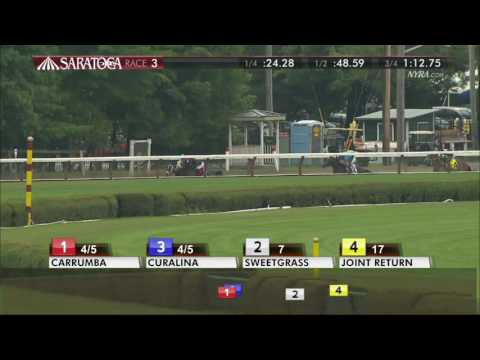 Curalina - 2016 Shuvee Handicap