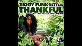ZIGGY FUNK ft TESS LEAH thankful (Main Mix)
