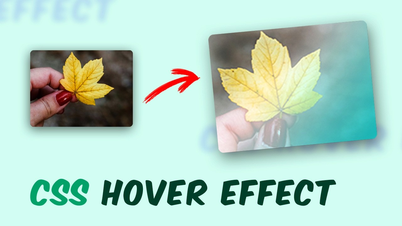 Stunning Image Hover Effect using CSS and HTML!