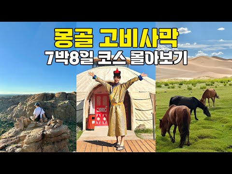 몽골 고비사막 루트로 여행 떠난다면? 상세일정 알차게 담은 몽골 7박8일 코스 몰아보기!
