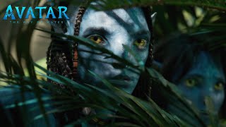 Avatar: The Way of Water (2022) Video