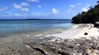 New Caledonia Nature