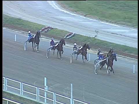 Trotto 08/09/2017 - 2ª prova di qualifica