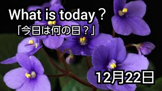 【What is today?】今日は何の日?(1222)|YouTube掲示板《ヒントストック》