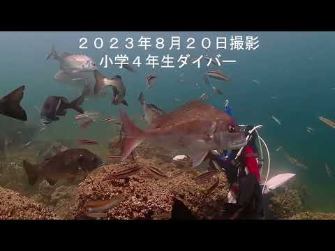 水銀に関する水俣条約外交会議10周年記念「くまもと環境フォーラム」Part3（講演2）　＃水銀フリー社会　＃水銀フリー