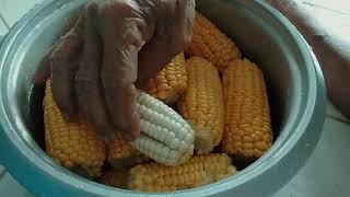 Boiling corn in rice cooker / easy way to cook sweet corn