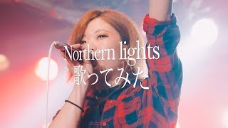 403 Northern Lights 歌詞付き تحميل اغاني مجانا
