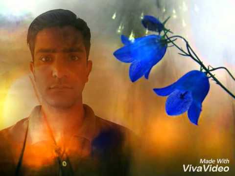 Just a moment... video download