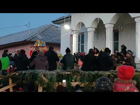 Capra de la Pîncești 2017-2018.